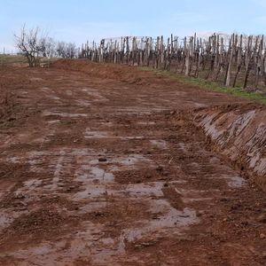 Slika iz Facebook objave